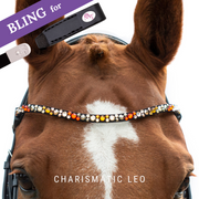 Charismatic Leo Stirnband Bling Swing