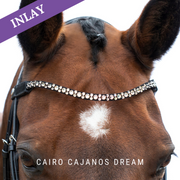 Cairo Cajanos Dream by Dimi Mimi Inlay Swing