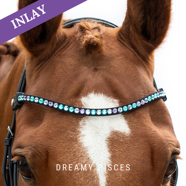 Dreamy Pisces Inlay Swing