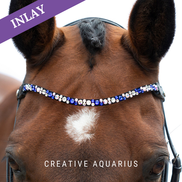 Creative Aquarius Inlay Swing