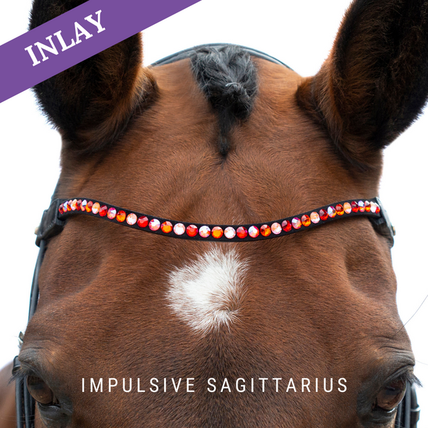 Impulsive Sagittarius Inlay Swing