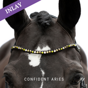 Confident Aries Inlay Swing