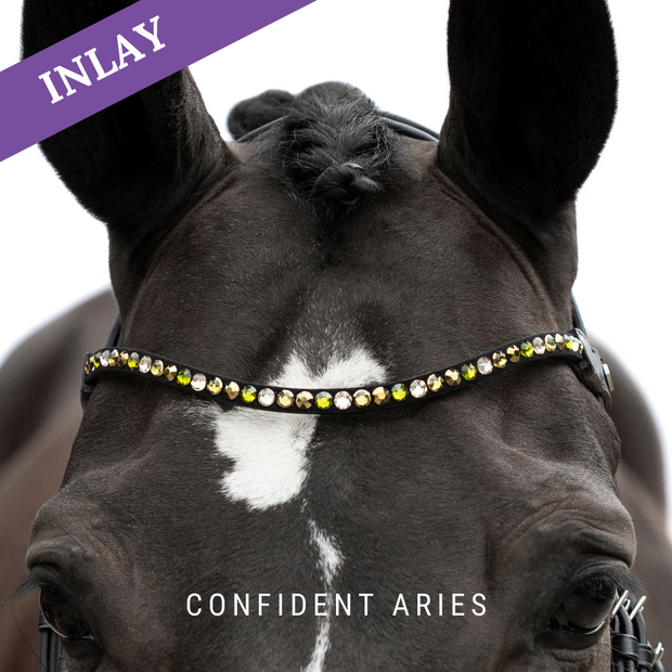 Confident Aries Inlay Swing
