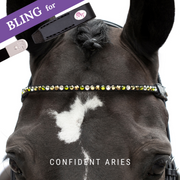Confident Aries Stirnband Bling Classic