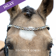 Sociable Gemini Inlay Swing