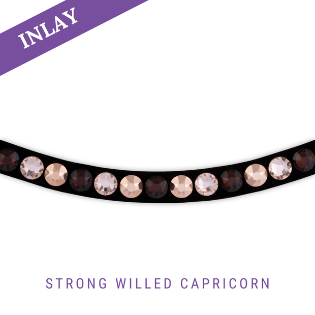 Strong Willed Capricorn Inlay Swing
