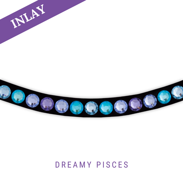 Dreamy Pisces Inlay Swing