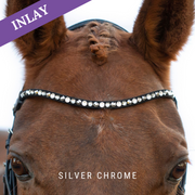 Silver Chrome Inlay Swing
