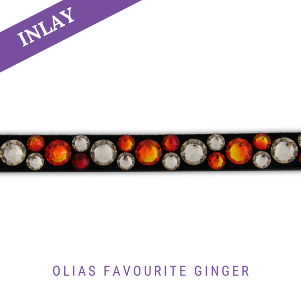 Olias Favourite Ginger Inlay Classic