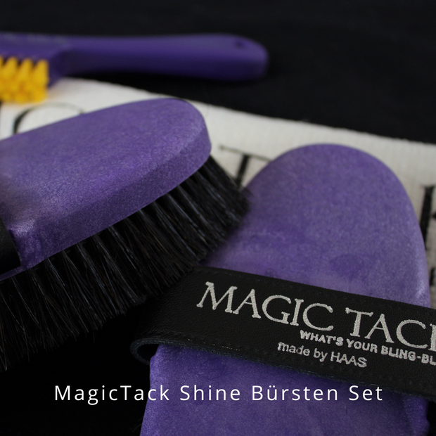 MagicTack Shine Bürsten Set by Haas