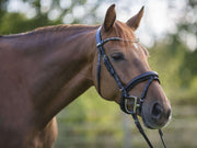 Trense MagicTack Competition