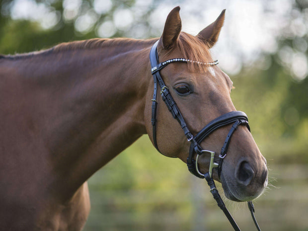 Trense MagicTack Competition