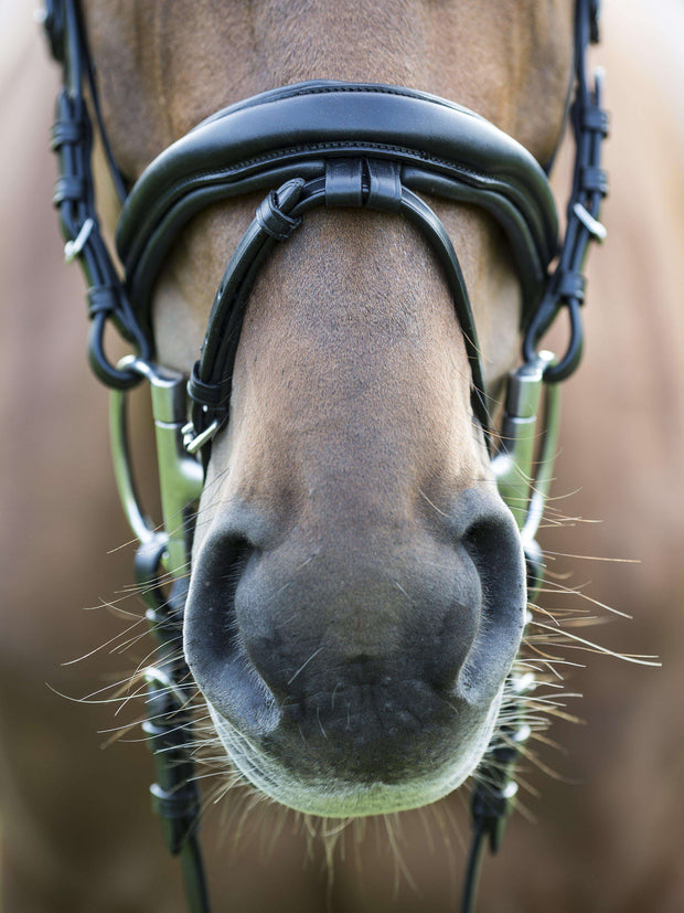 Trense MagicTack Competition