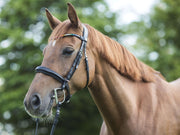 Trense MagicTack Competition