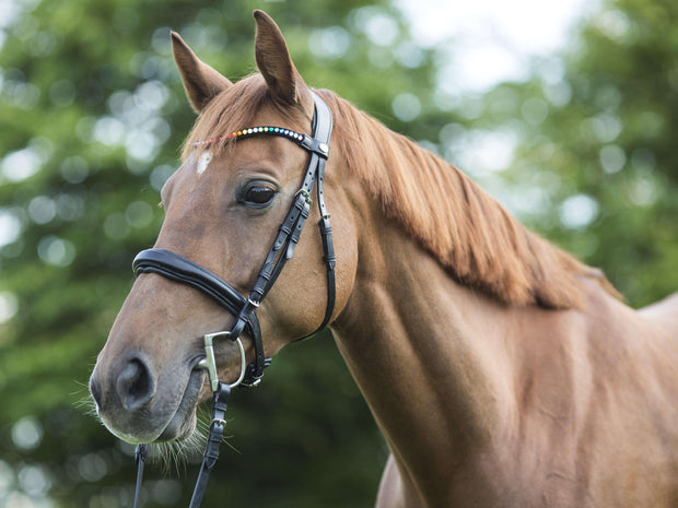 Trense MagicTack Competition