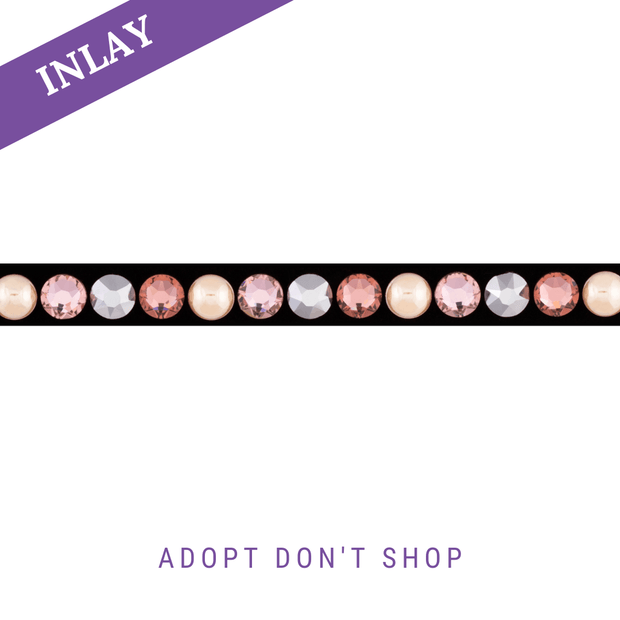 Adopt don`t Shop Inlay Classic