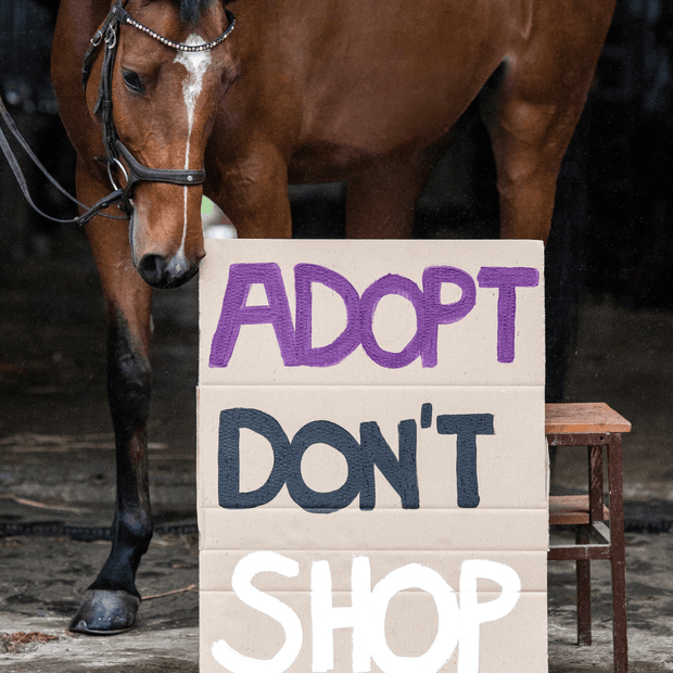 Adopt don`t Shop Reithandschuh Patch schwarz