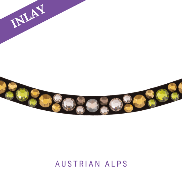 Austrian Alps Inlay Swing