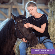 Austrian Alps Inlay Swing