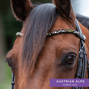 Austrian Alps Inlay Swing