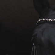 Adopt don`t Shop Stirnband Bling Classic