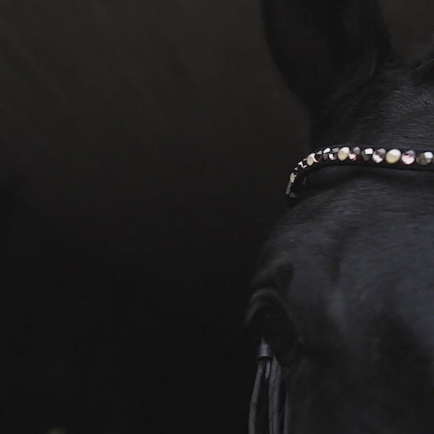 Adopt don`t Shop Stirnband Bling Classic