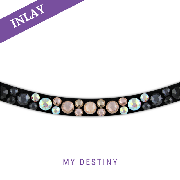 My Destiny by Sheldondassensibelchen Inlay Swing
