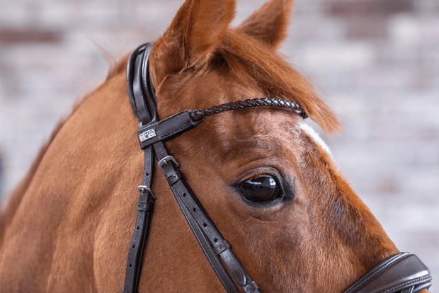 Leder Bling Geflochten