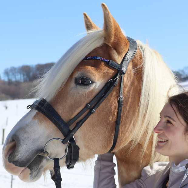 Pretty Pony by ZauberponyAmy Stirnband Bling Swing