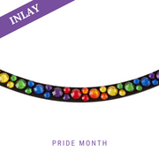 Pride Month Inlay Swing