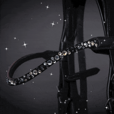 Rise Stirnband Bling Swing